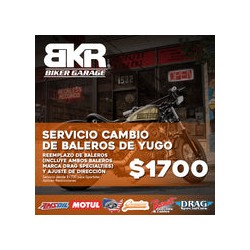 Servicio de Cambio de Baleros de Yugo